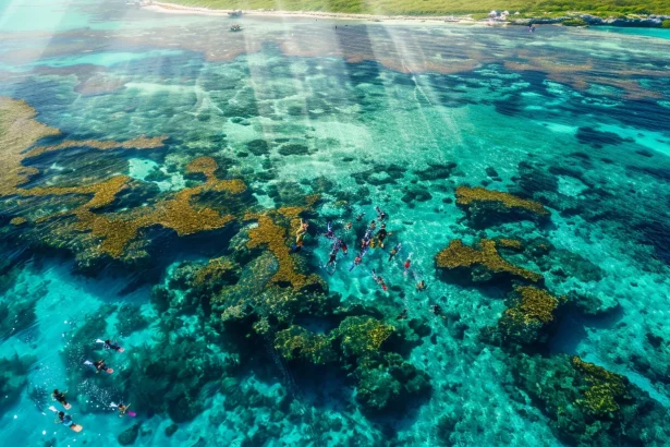 plongee et snorkeling a cancun les meilleurs spots 1 0 28343