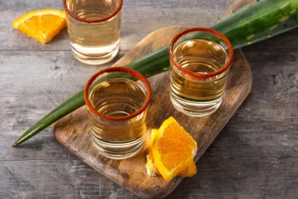 Mezcal Mexicain