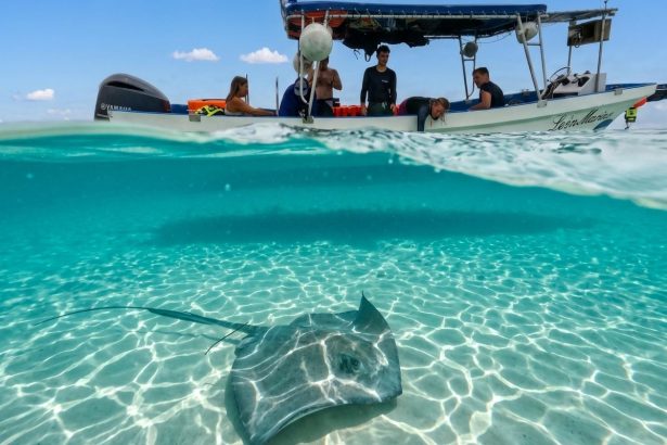 Quelle excursion choisir pour visiter au mieux Cozumel au Mexique